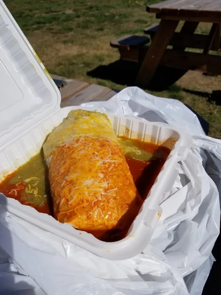 Christmas Chicken Burrito